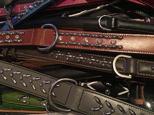 Why Premium Leather Products are a Must-Have for Your Dog