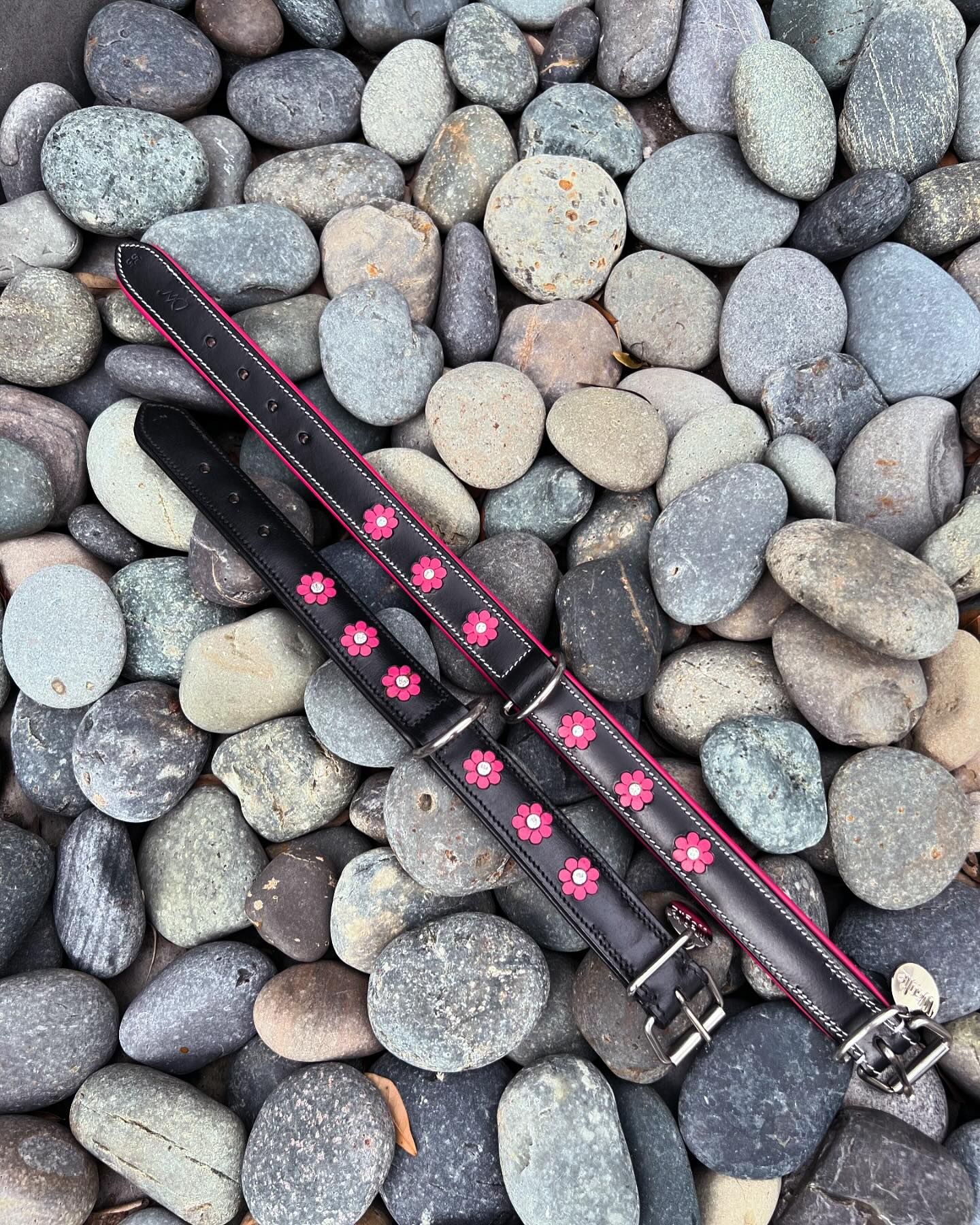 LA Black & Hot Pink - Waglie