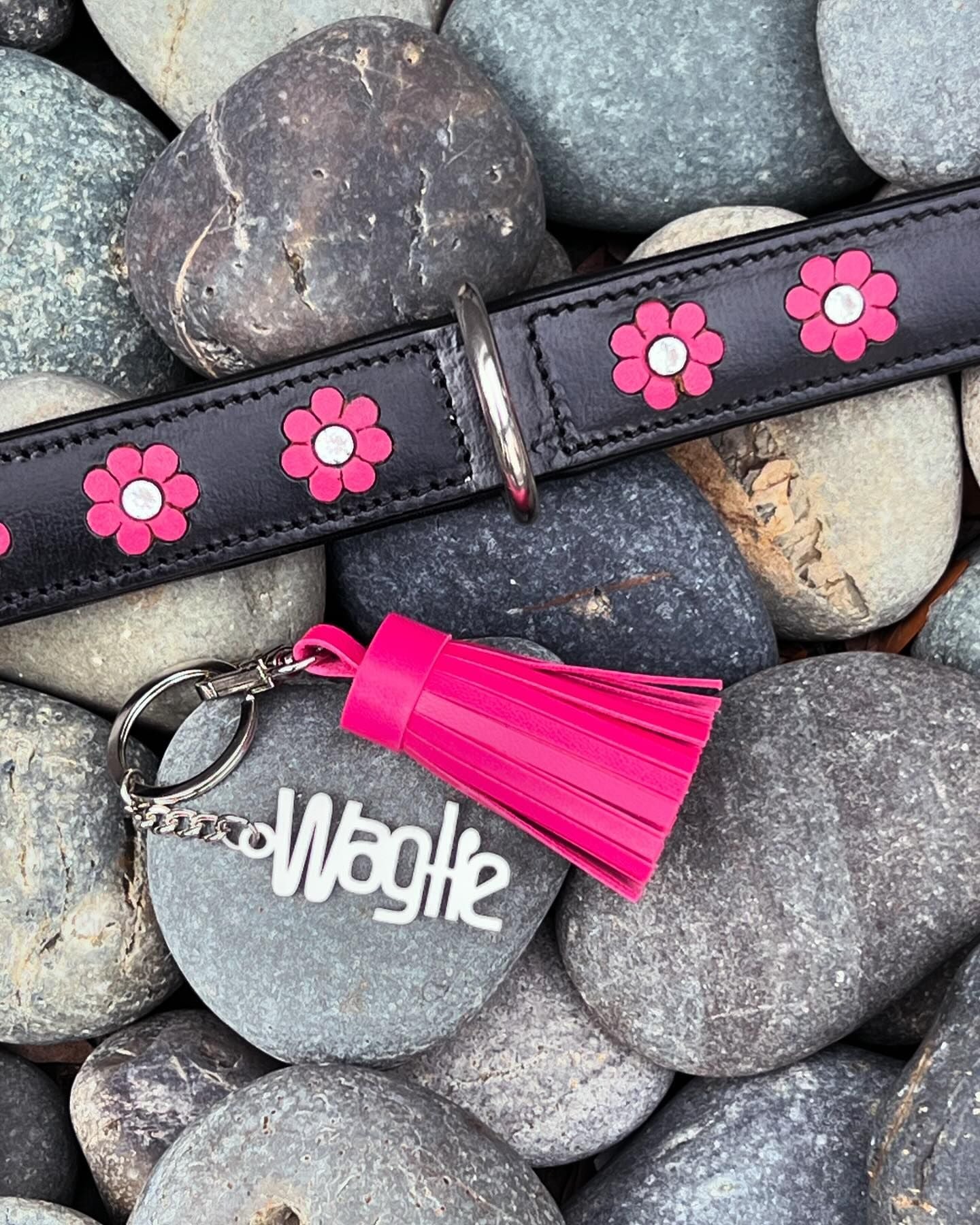 LA Black & Hot Pink - Waglie