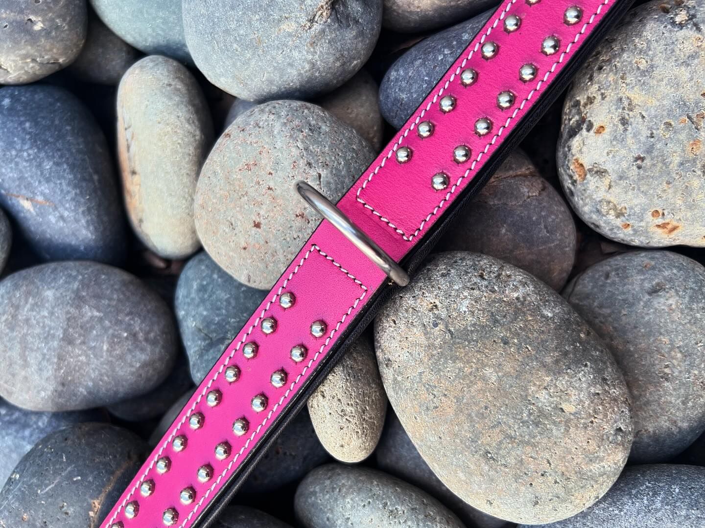 New London Hot Pink and Black - Waglie