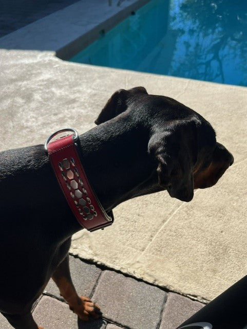 Rome Red & Black - Waglie