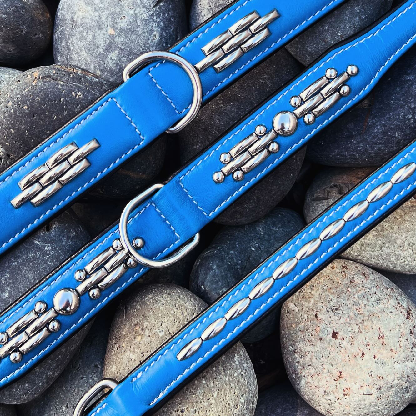 Denver Blue & Black - Waglie