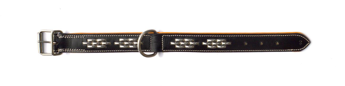 Denver Black & Tan - Waglie