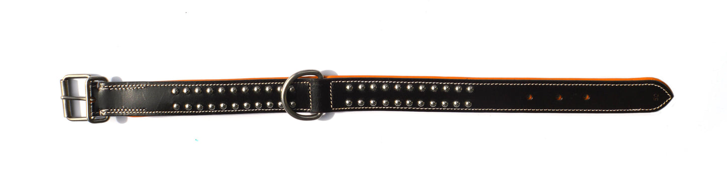 New London Black & Tan - Waglie