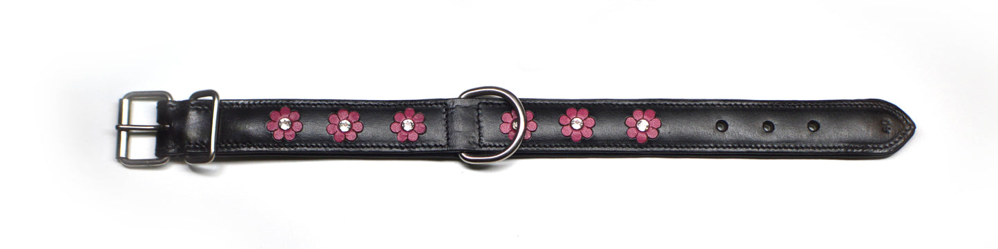 LA Hot Pink & Black - Waglie