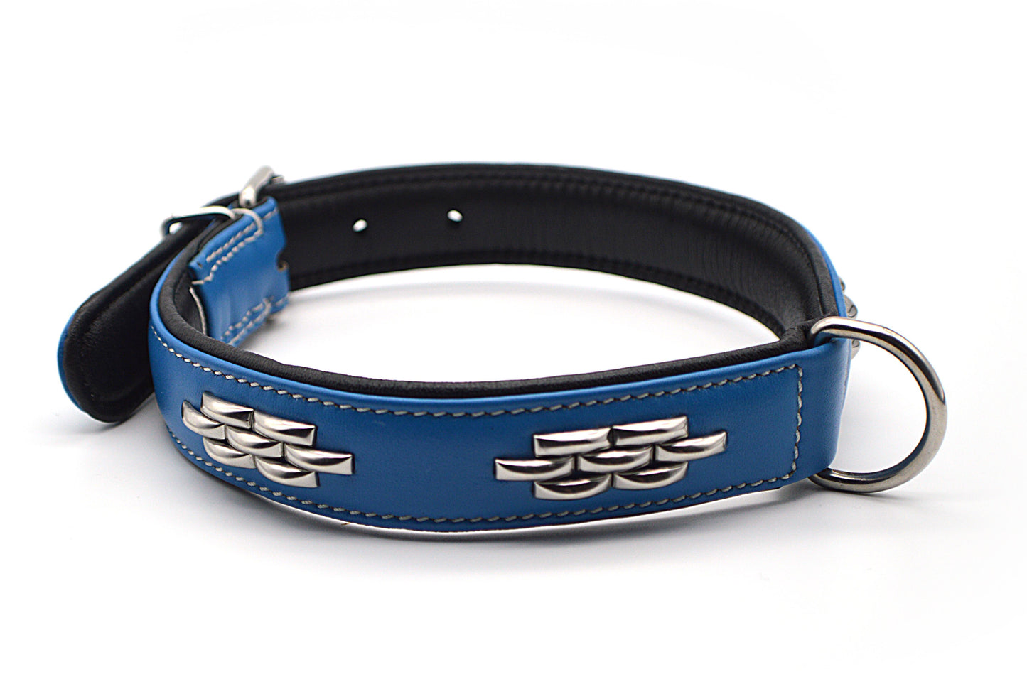 Denver Blue & Black - Waglie