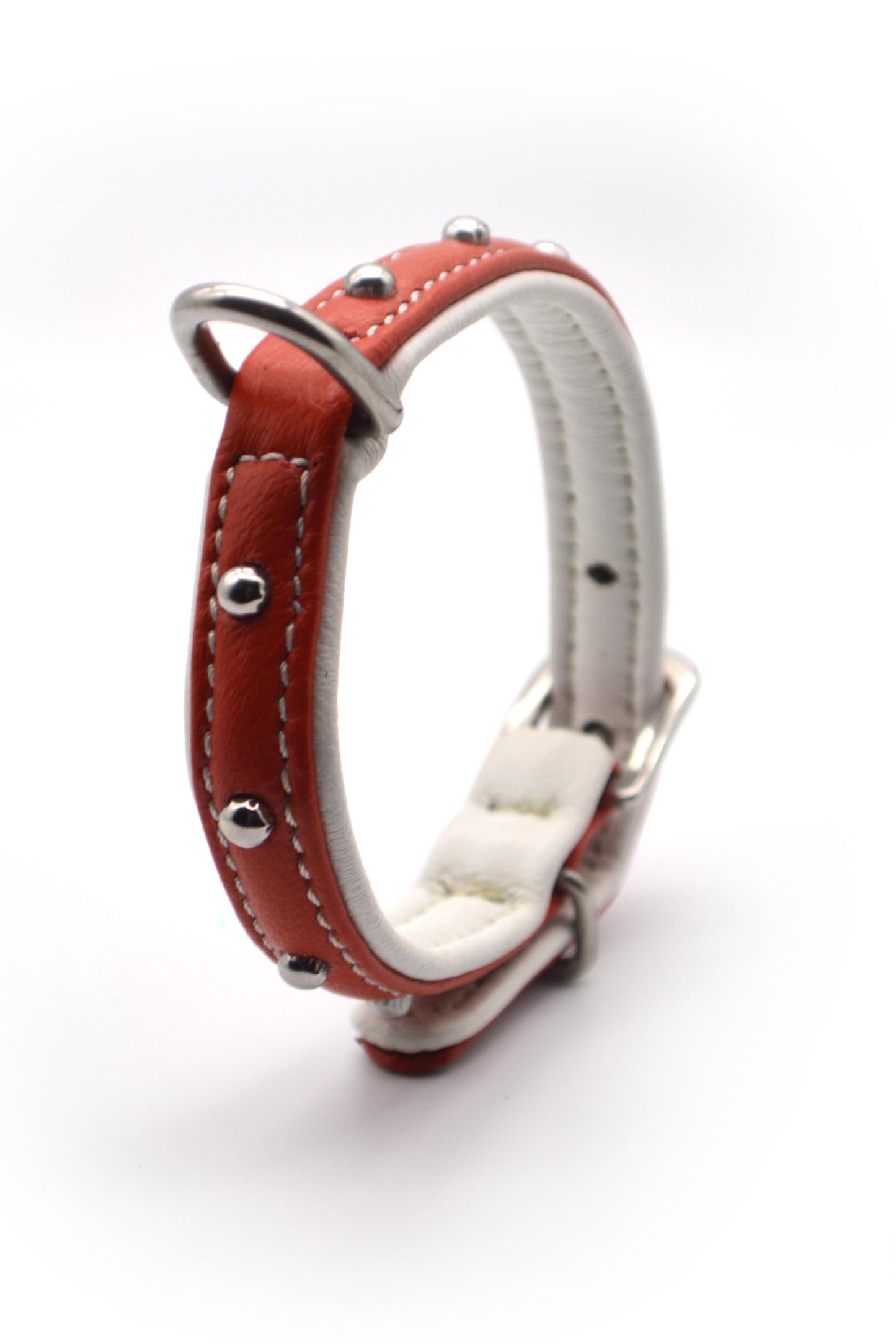 Vegas Orange & White - Waglie