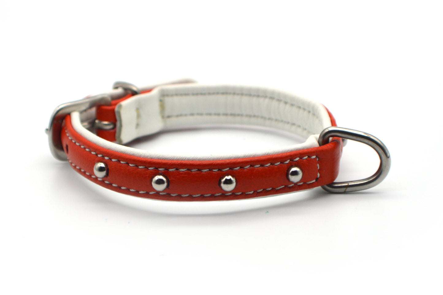 Vegas Orange & White - Waglie
