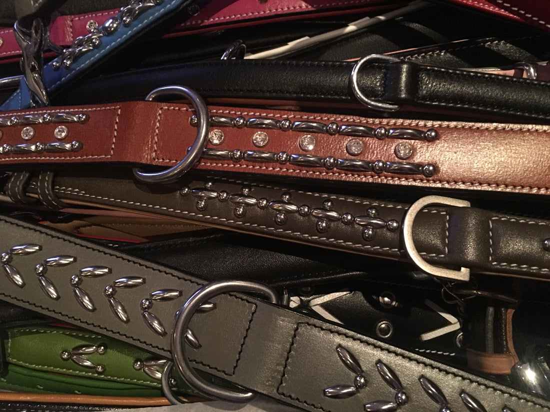 Why Premium Leather Products are a Must-Have for Your Dog