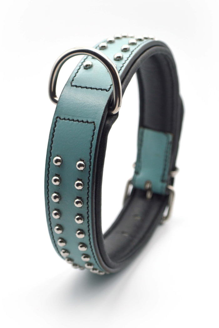 New London   Turquoise & Black - Waglie